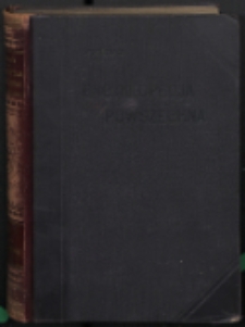S. Orgelbranda Encyklopedyja powszechna z mapami i ilustracjami. T. 8 : od lit. K do Kruszyński